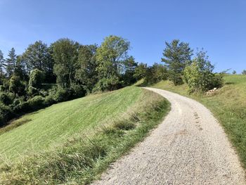 Road amidst trees against sky