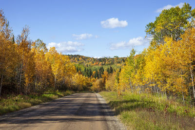 Road amidst trees against sky during autumn