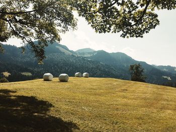 Scenic view of field and mountains against sky