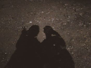 Shadow of couple on sand