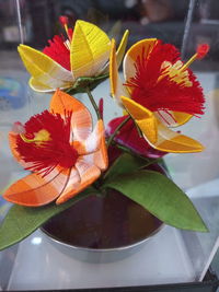 Close-up of hibiscus flower