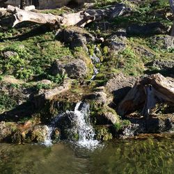 Rocks in water