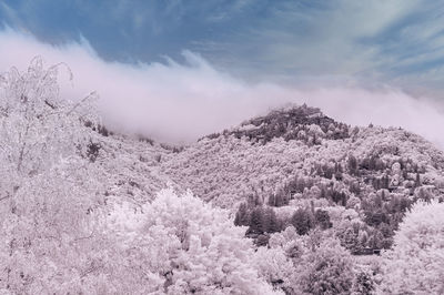 Scenic view of snow covered landscape against sky