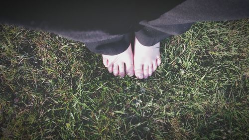 Low section of man on grassy field