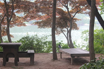 Chairs and table by trees on beach against sky