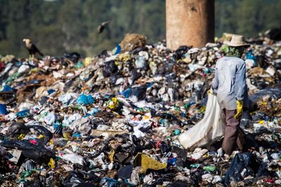 Rear view of man at garbage dump