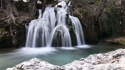 Scenic view of waterfall in forest