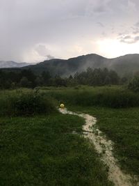 Scenic view of field against sky