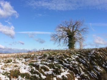 Scenic view of landscape against cloudy sky