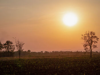 Scenic view of field against sky during sunset