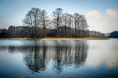 Reflection of trees in calm lake