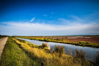 Scenic view of grassy field against cloudy sky