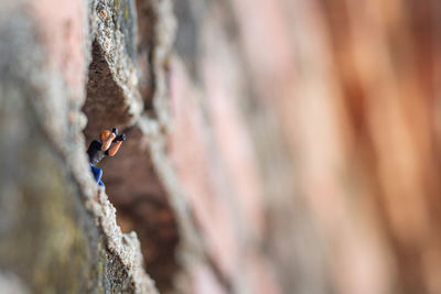 Man climbing on rock