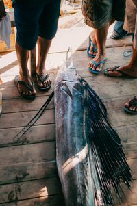 Low section of people at fish