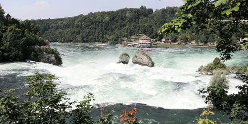 Scenic view of waterfall in forest