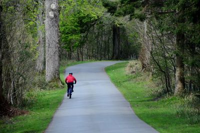 Rear view of man walking on road in forest