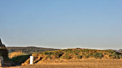 Scenic view of field against clear sky