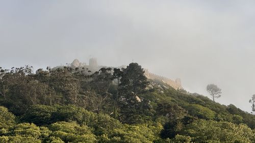 nature