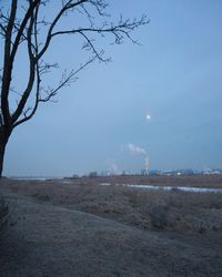 Bare tree on landscape against sky