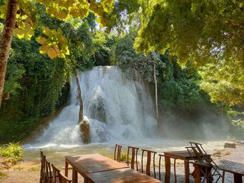 Scenic view of waterfall in forest