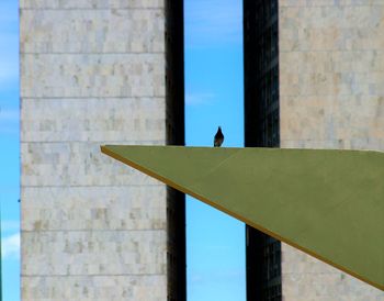 Low angle view of bird perching on building