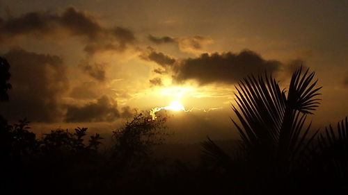 Silhouette of palm trees at sunset