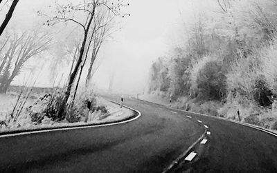 Road amidst bare trees against sky