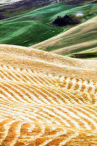 Full frame shot agricultural landscape