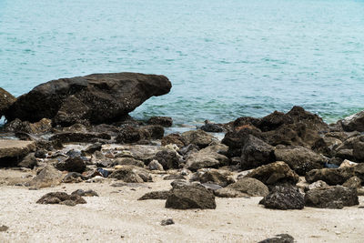 Rocks on beach