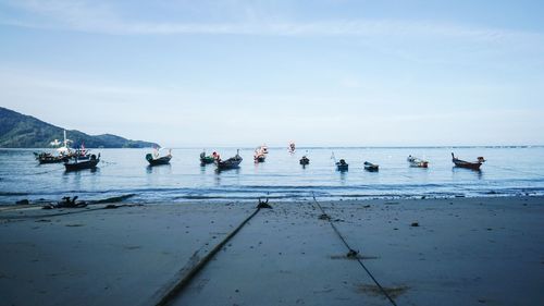 View of swans on beach against sky