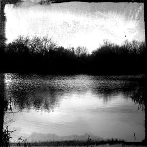 Reflection of trees in lake