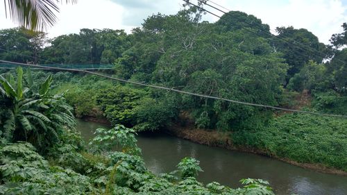 Scenic view of river against sky