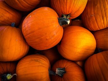 Full frame shot of pumpkins for sale at market stall