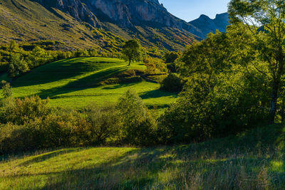 Landscape of the somiedo natural park in asturias. spain 