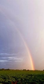 rainbow