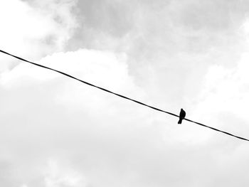 Low angle view of power lines