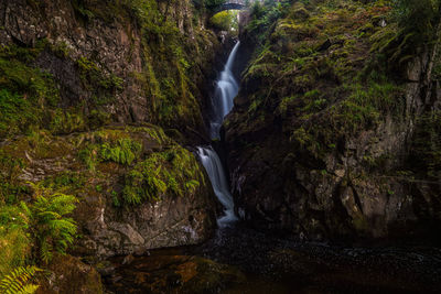 Scenic view of waterfall in forest