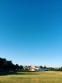 Trees on landscape against clear blue sky