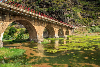 Arch bridge over river against trees