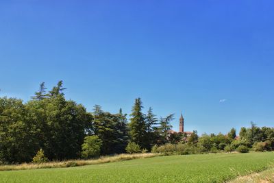 Scenic view of field against clear blue sky