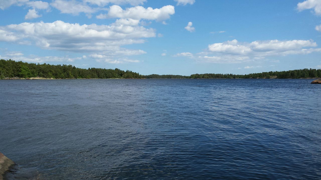 Kärsvik