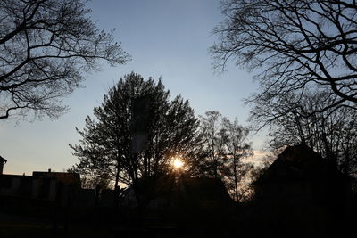 Low angle view of silhouette trees against sky during sunset