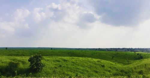 Scenic view of landscape against sky