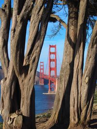 View of bridge over sea