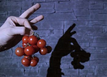 Close-up of hand holding fruit