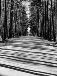 Empty road along trees in forest