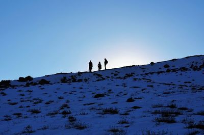 Scenic view of landscape against clear sky