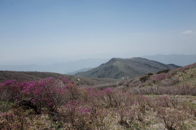 Scenic view of mountains against sky