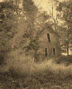 House and trees during sunset