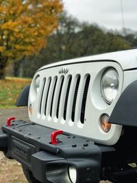 Close-up of car on tree